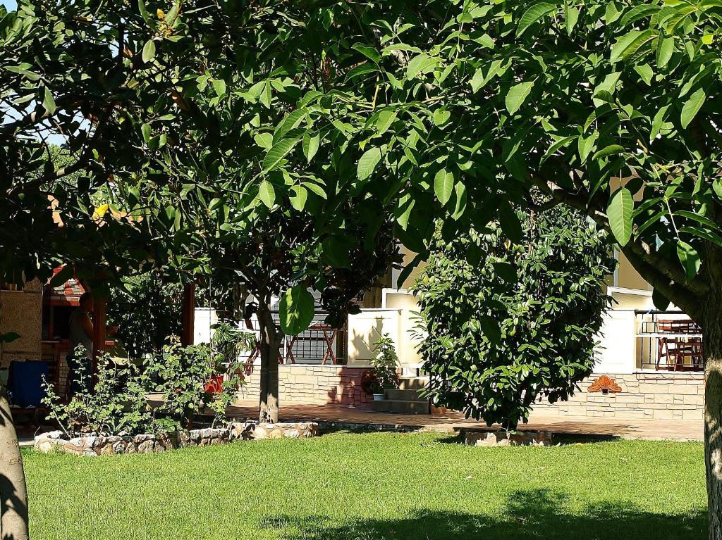 Dionysos Apartment Asprovalta Exterior photo